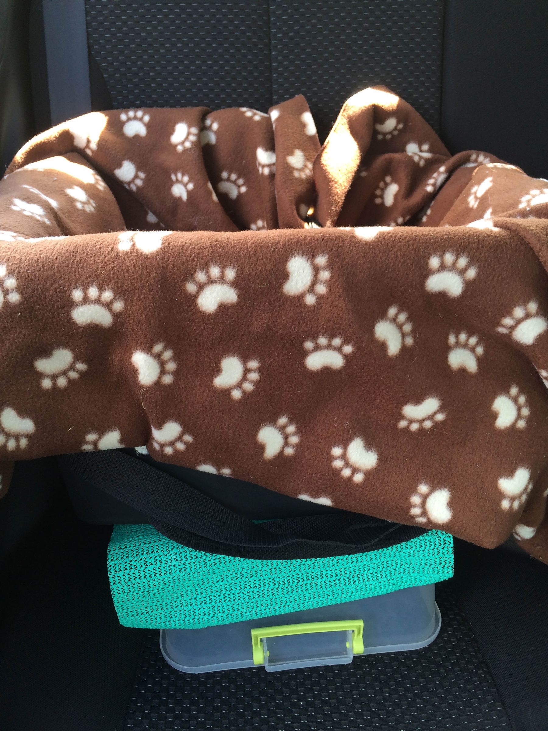 Cheap Safe Dog Car Seat 10 Steps (with Pictures) Instructables