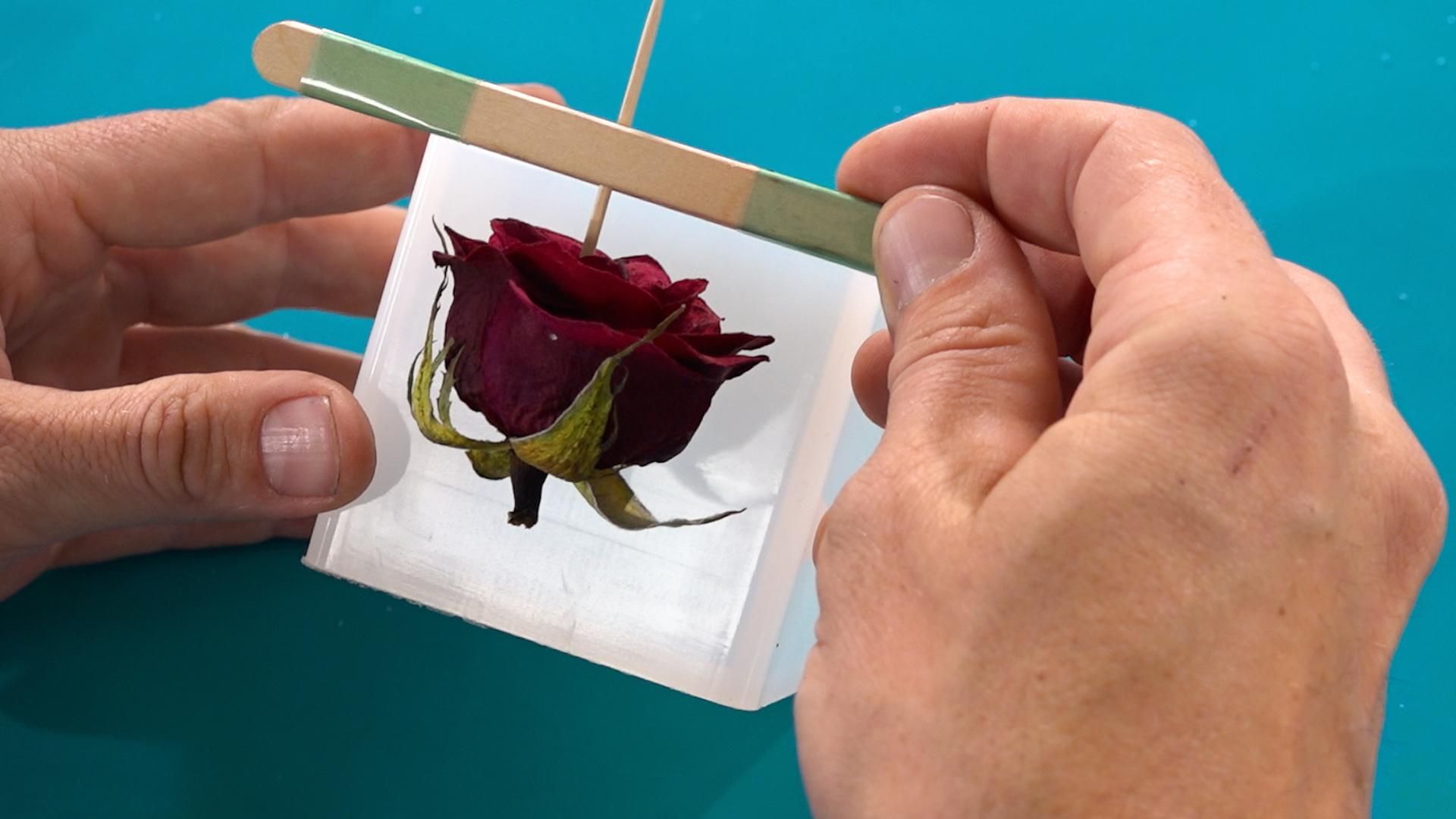 How to Cast Flowers in Epoxy Resin DIY Resin Rose Paperweight! 8
