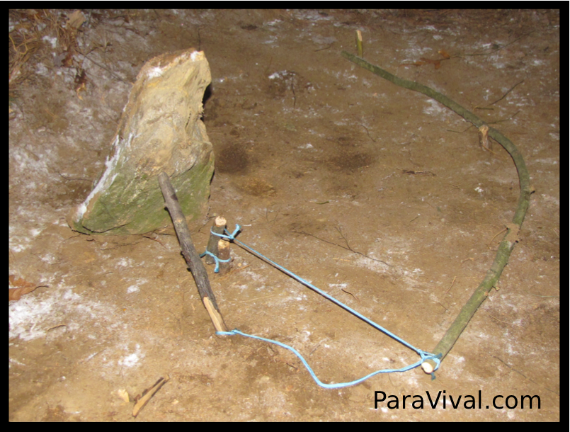 How to Make a Spring Loaded Deadfall Trap Using Your Paracord Gear