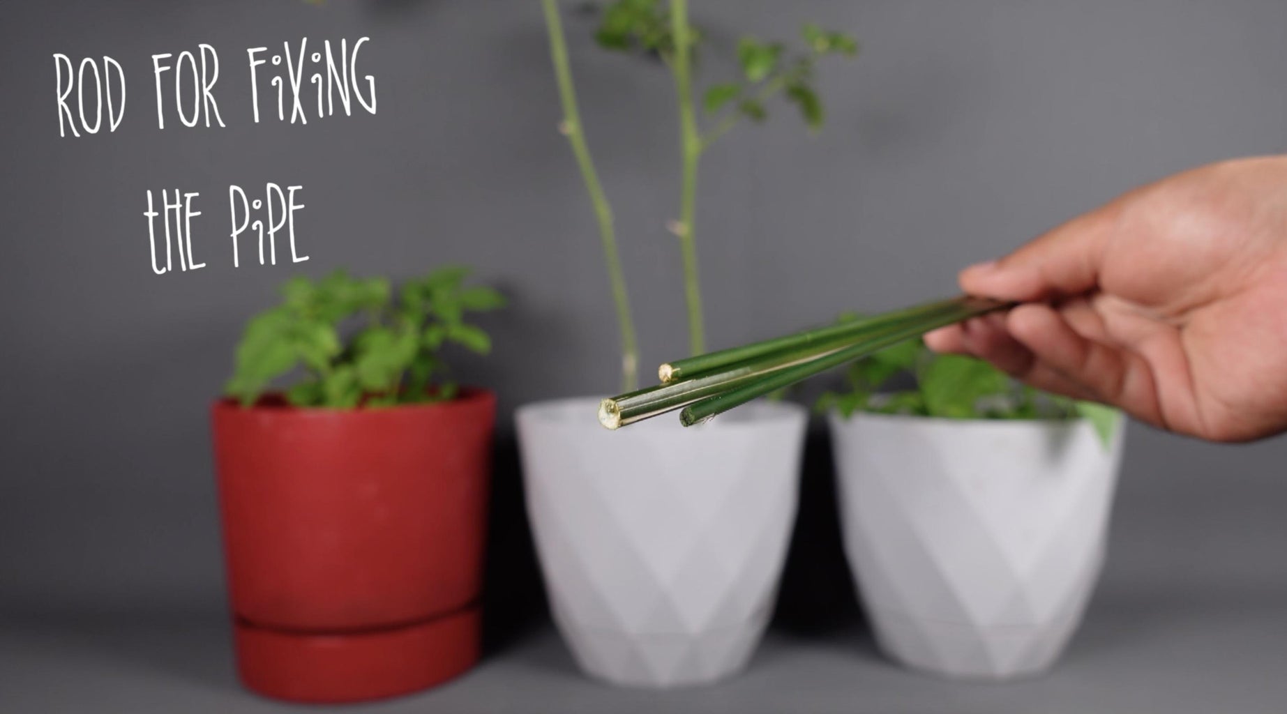 DIY Automatic Plant Watering System : 9 Steps (with Pictures ... Circuit Diagram