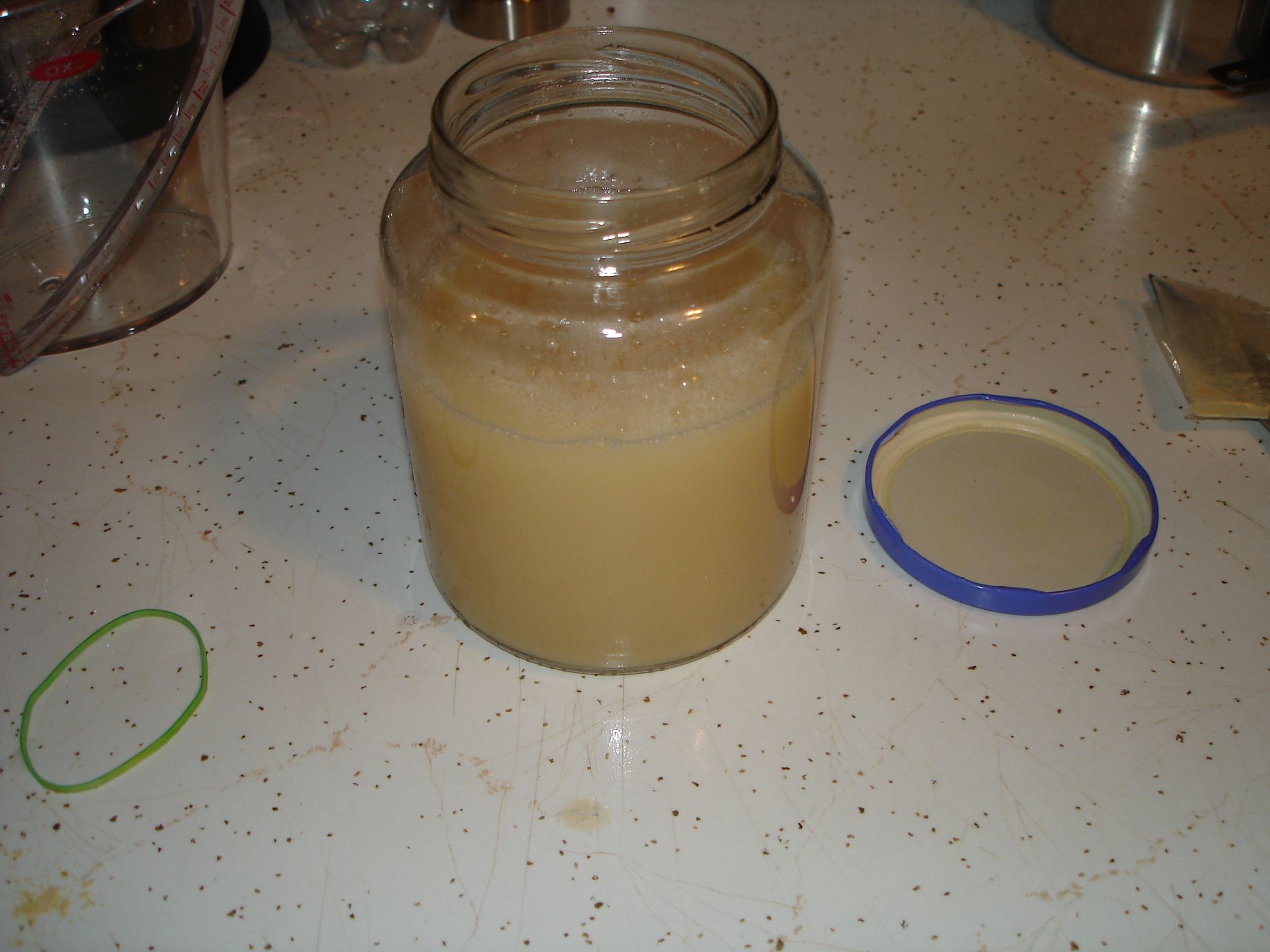 Ginger Beer Alcoholic Version 5 Steps Instructables