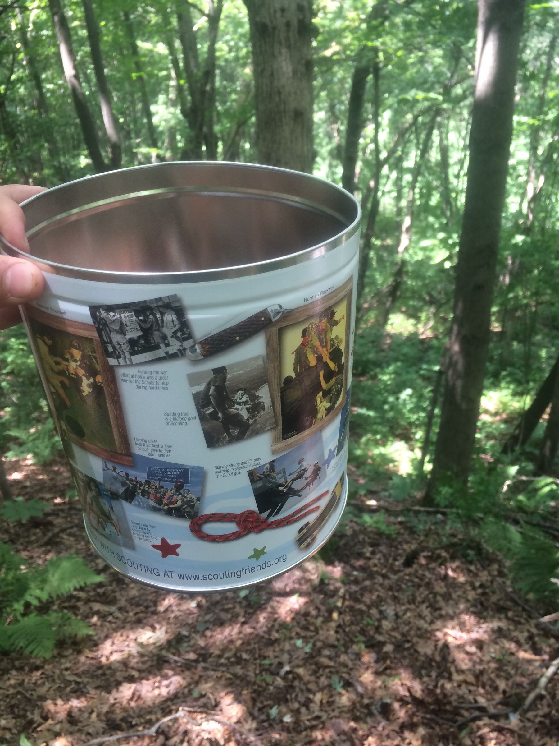 Birch Bark Resin Bug Repellent 4 Steps (with Pictures) Instructables