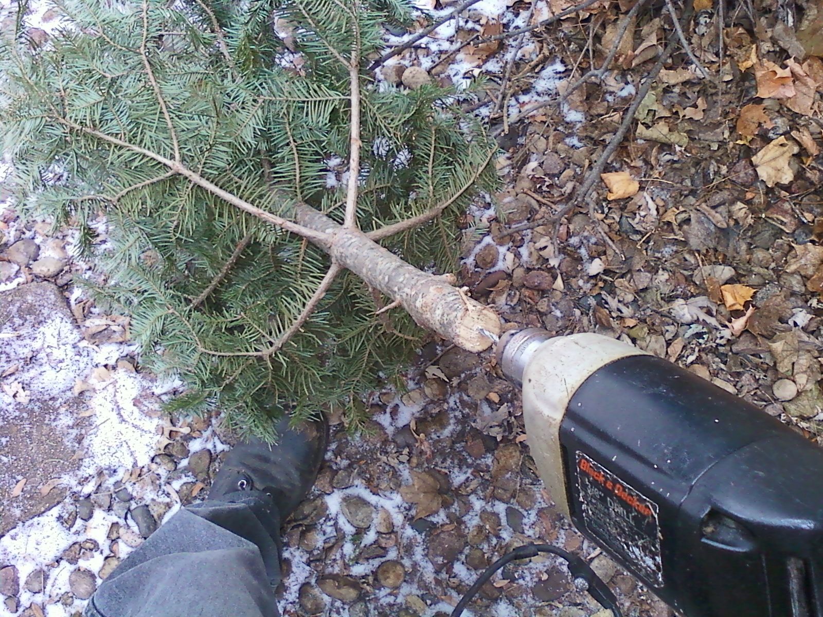A Traditional Christmas Tree Stand in 3 Easy StepsCharlie Brown Style