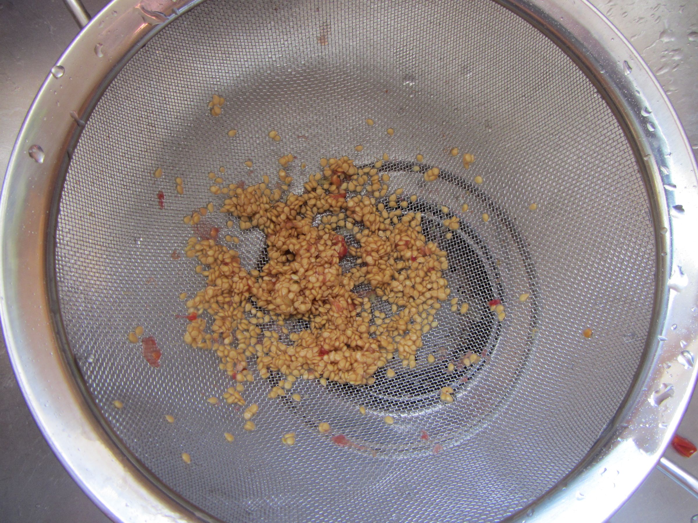 How to Ferment and Collect Tomato Seeds 6 Steps Instructables