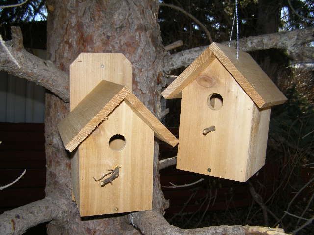 dog bark birdhouse home depot