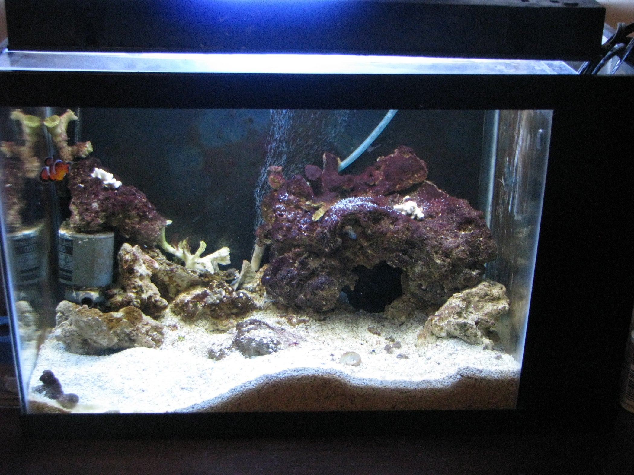 How to Setup and Build a Self Contained Saltwater Aquarium With Built in Refuge 7 Steps