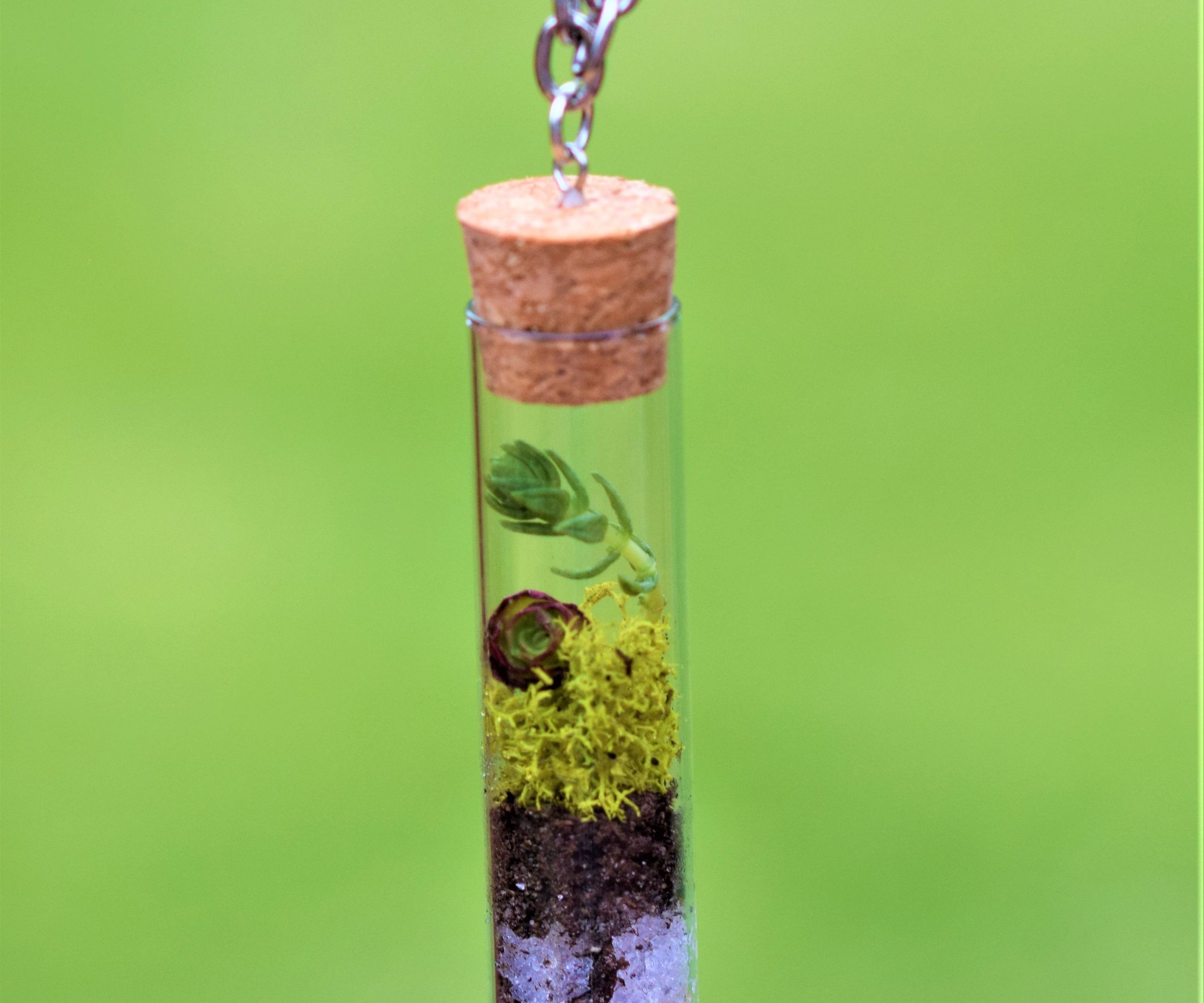 Succulent Terrarium Necklace