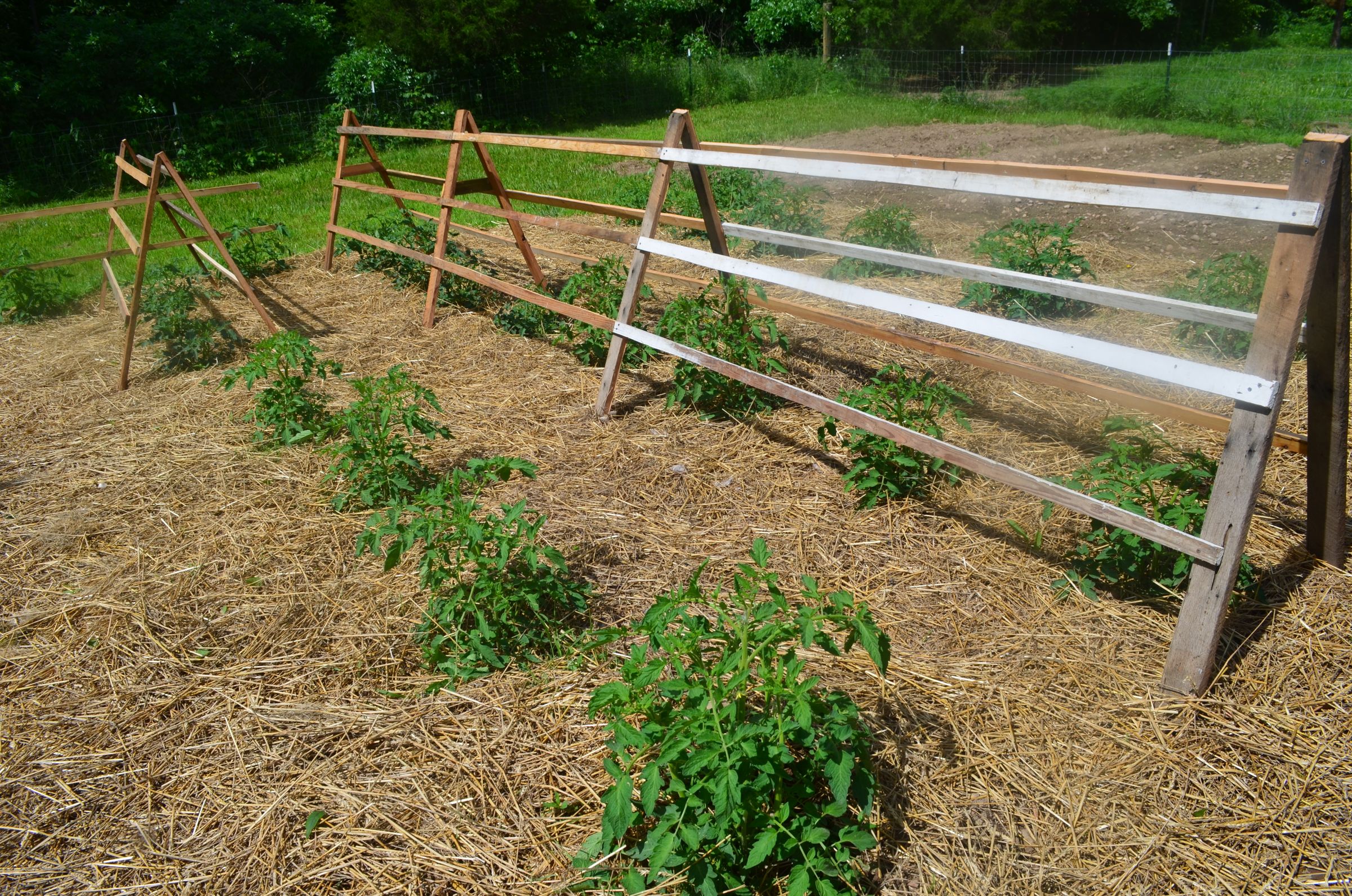 Recycled Pallets Used For Tomato Trellis Instructables
