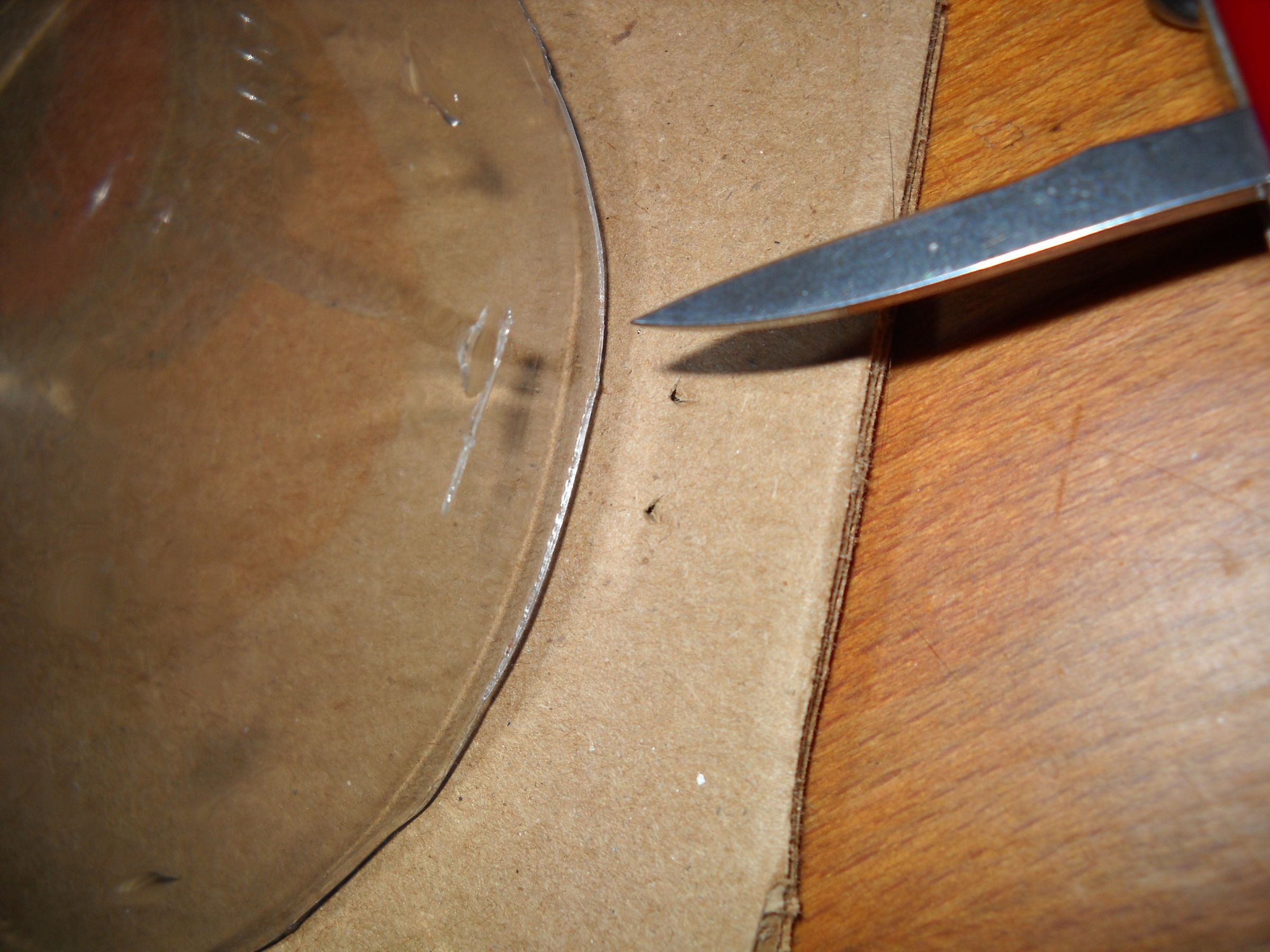 Mini Greenhouse for Seedlings Cat Proof! 9 Steps Instructables