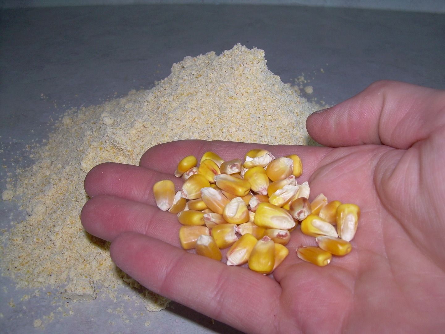 How to Eat Deer Corn 4 Steps (with Pictures) Instructables