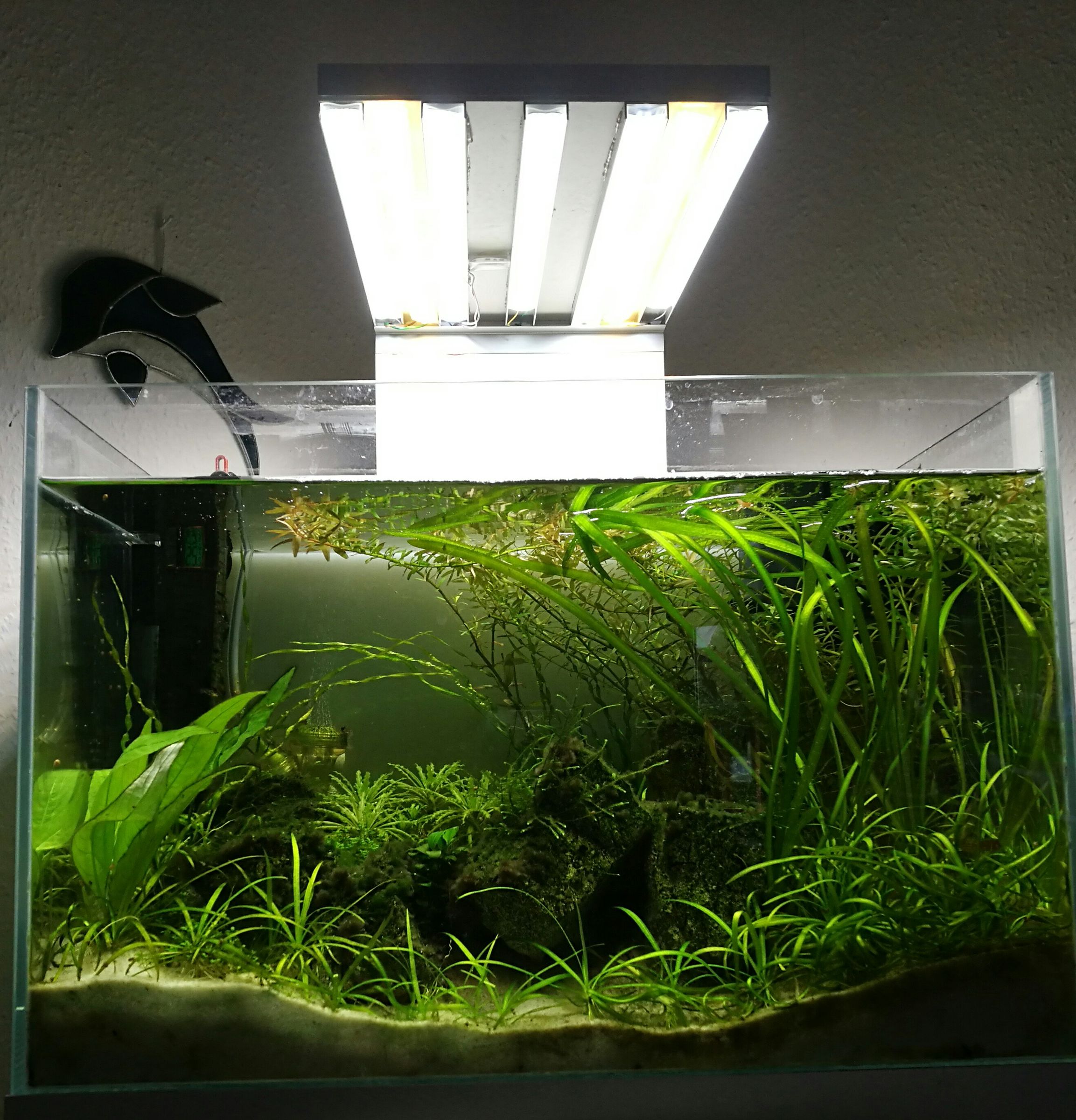 Aquarium Controller 10 Steps (with Pictures) Instructables