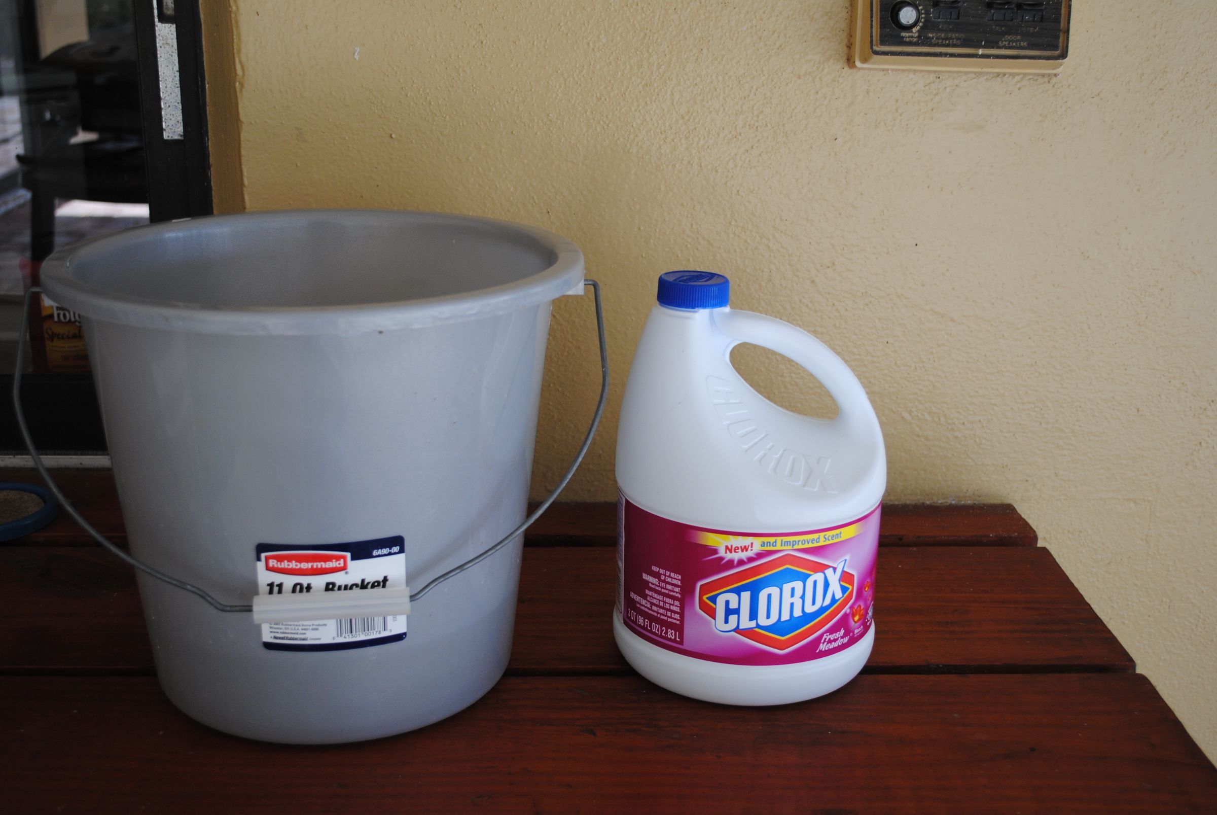 How to Bleach Sand Dollars 6 Steps (with Pictures) Instructables