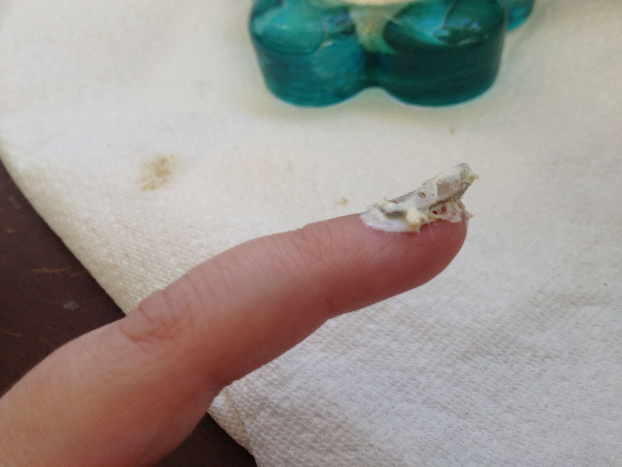 Toilet Paper Roll Zombie Nails 6 Steps (with Pictures) Instructables