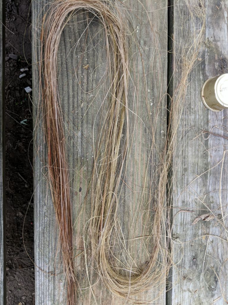 How To Make Rope Out Of Leaves at Leon Hendricks blog