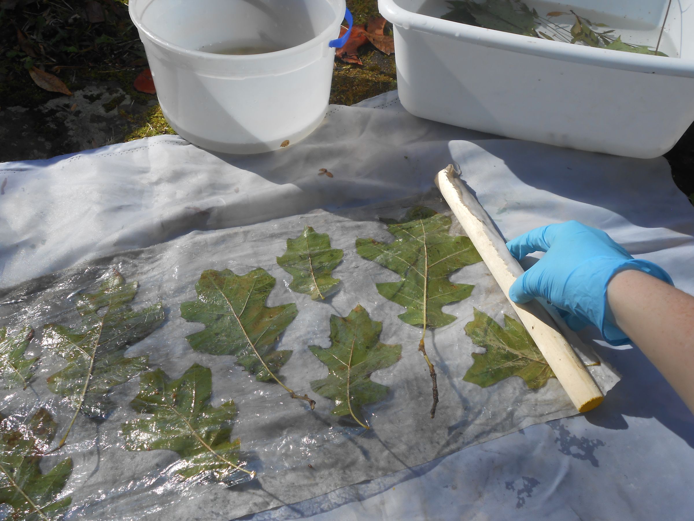 EcoPrinting With Rust & Vinegar 6 Steps (with Pictures) Instructables