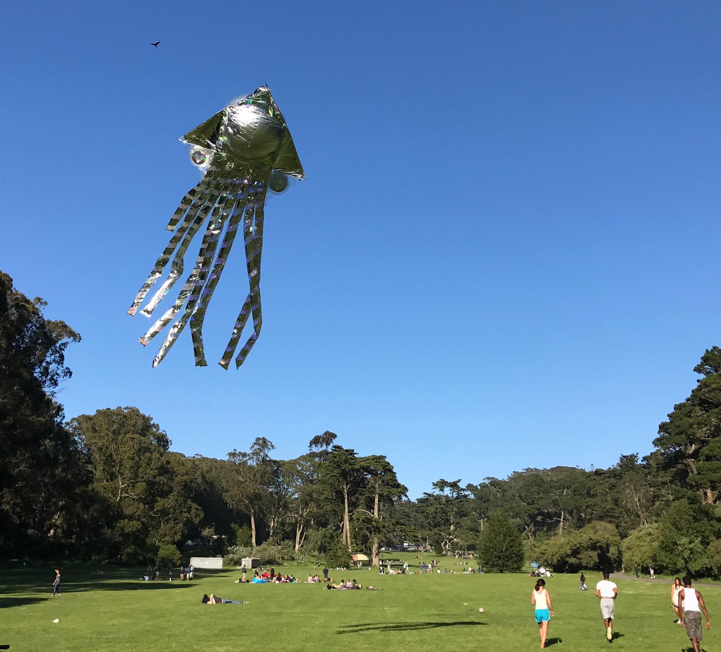 Make Your Own UFO Balloonkite! 5 Steps (with Pictures) Instructables