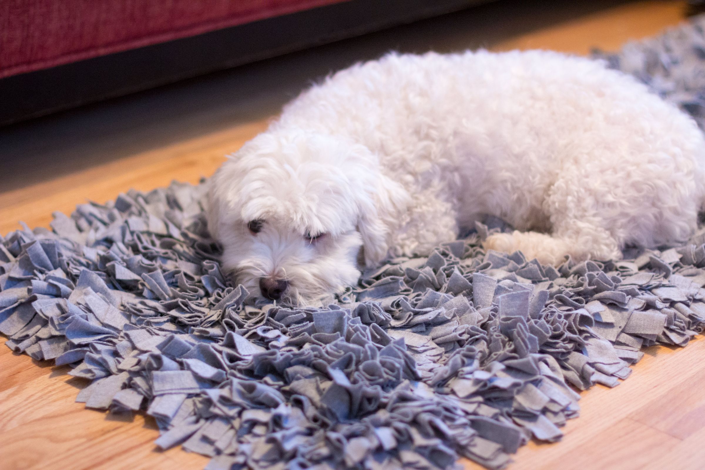 DIY TShirt Jersey Shag Rug 6 Steps (with Pictures) Instructables