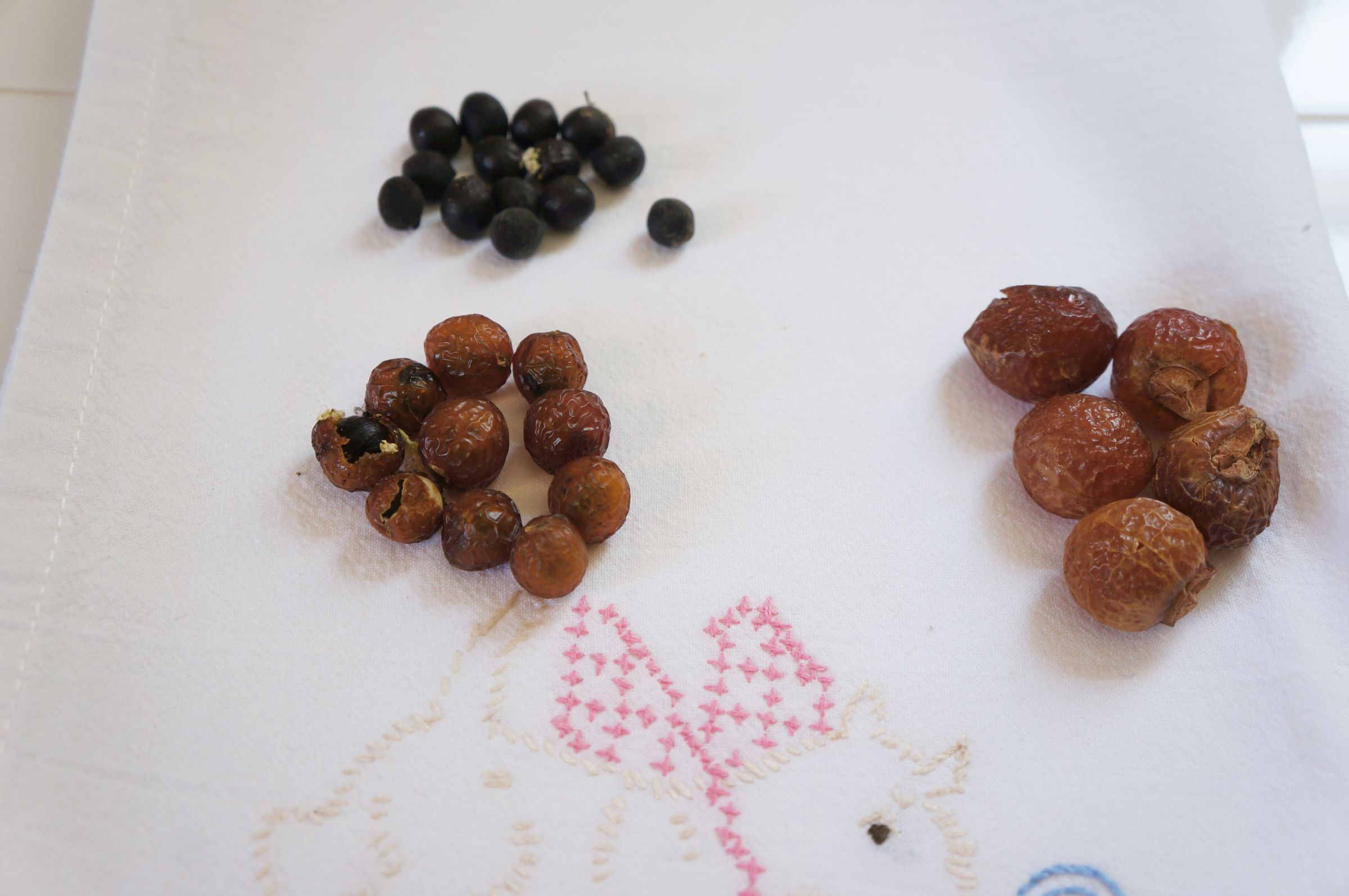How to Use Eco Friendly Soapberries for Laundry 9 Steps (with