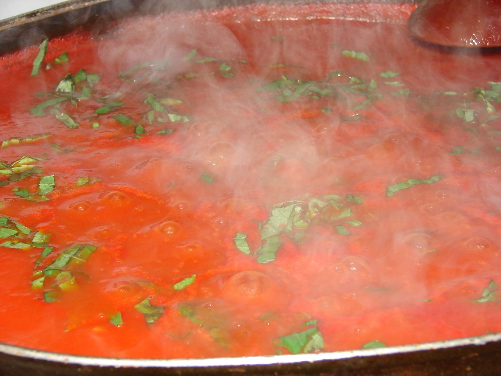 Spaghetti / Lasagna Sauce