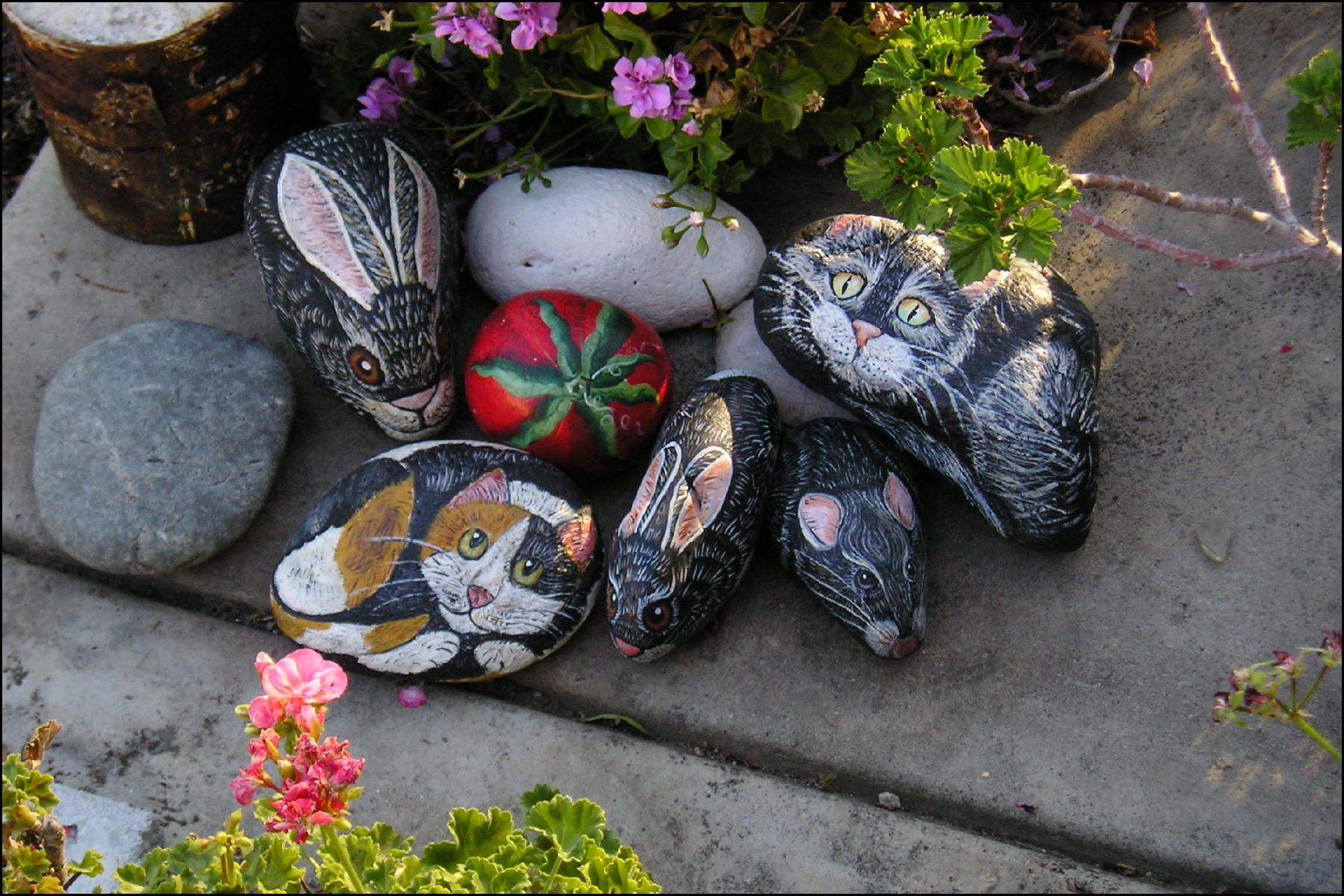How to Paint Animals on Rocks 5 Steps (with Pictures) Instructables