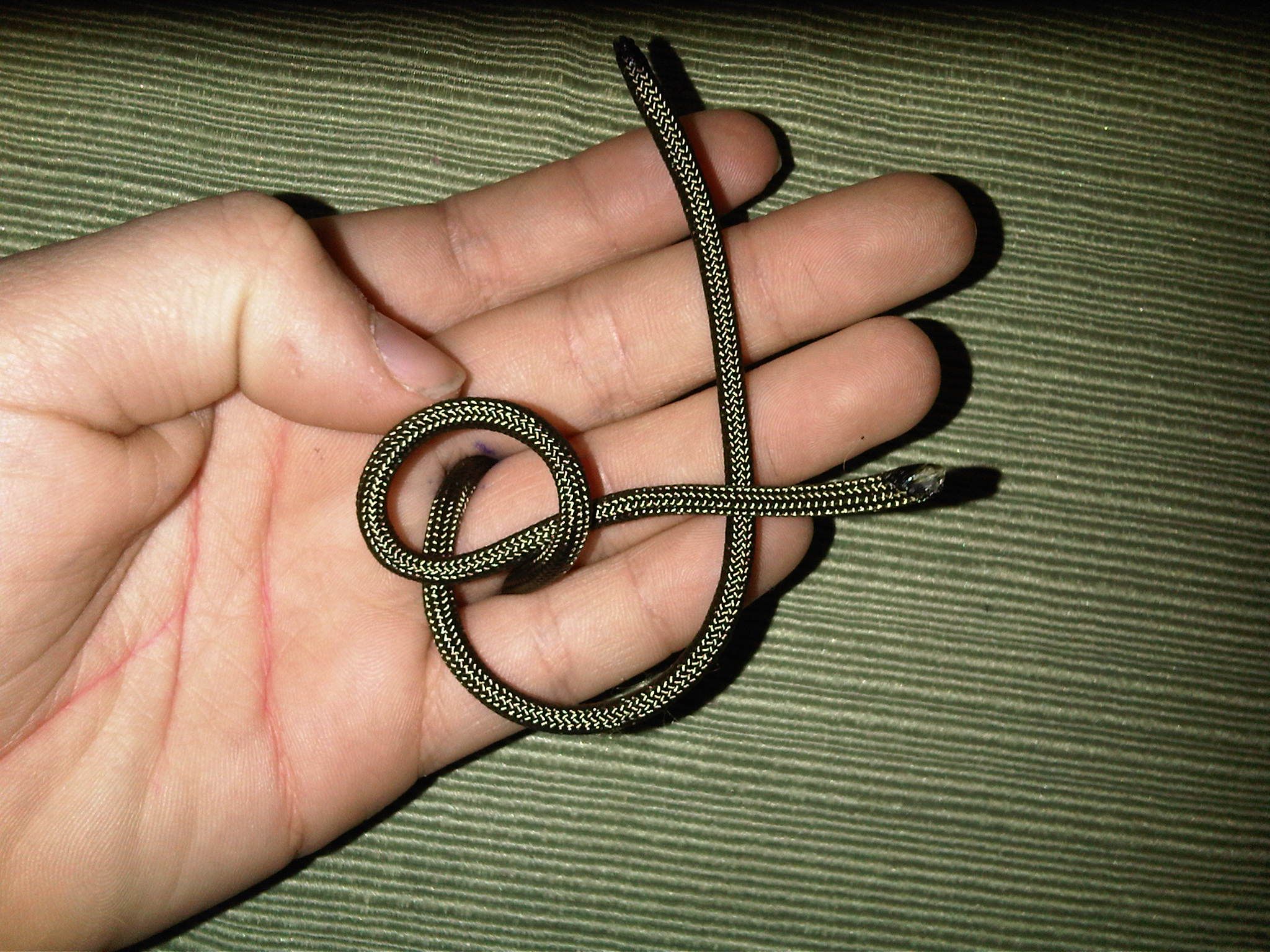 How to Tie the Lanyard Knot 6 Steps (with Pictures) Instructables