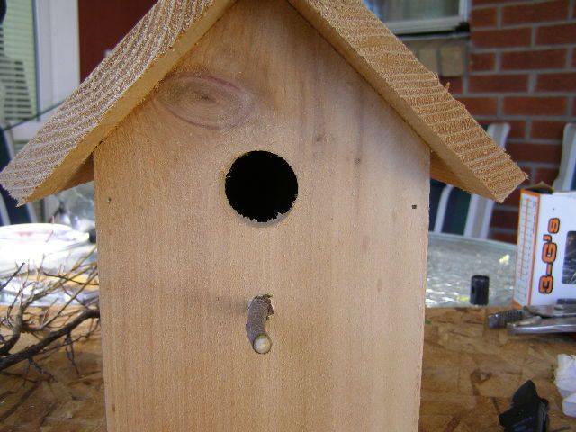 dog bark birdhouse home depot