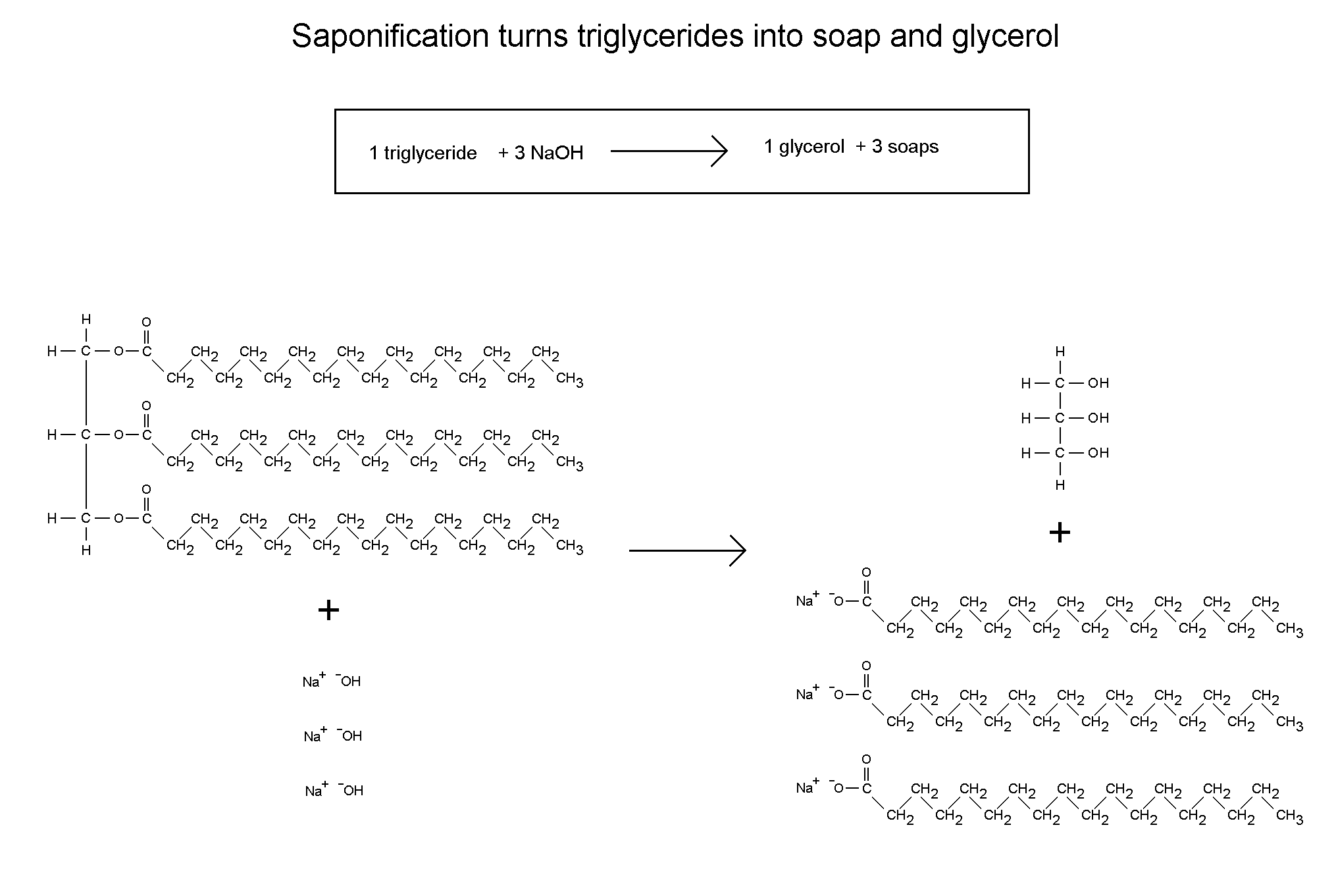 Convert a Bar of Soap Into Fatty Acids 11 Steps (with Pictures) Instructables