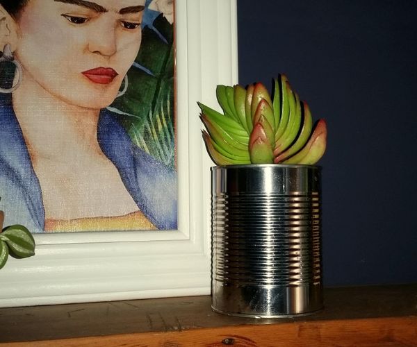 Upcycled Self Watering Planter