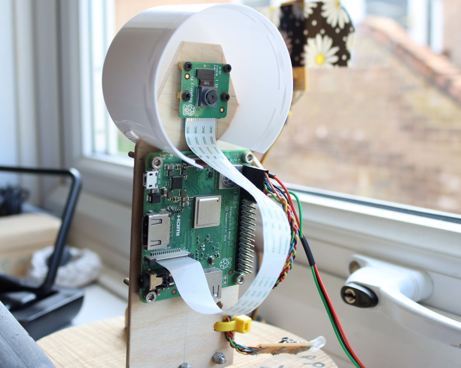 Raspberry PI Time Lapse (bean Growing) 4 Steps (with Pictures