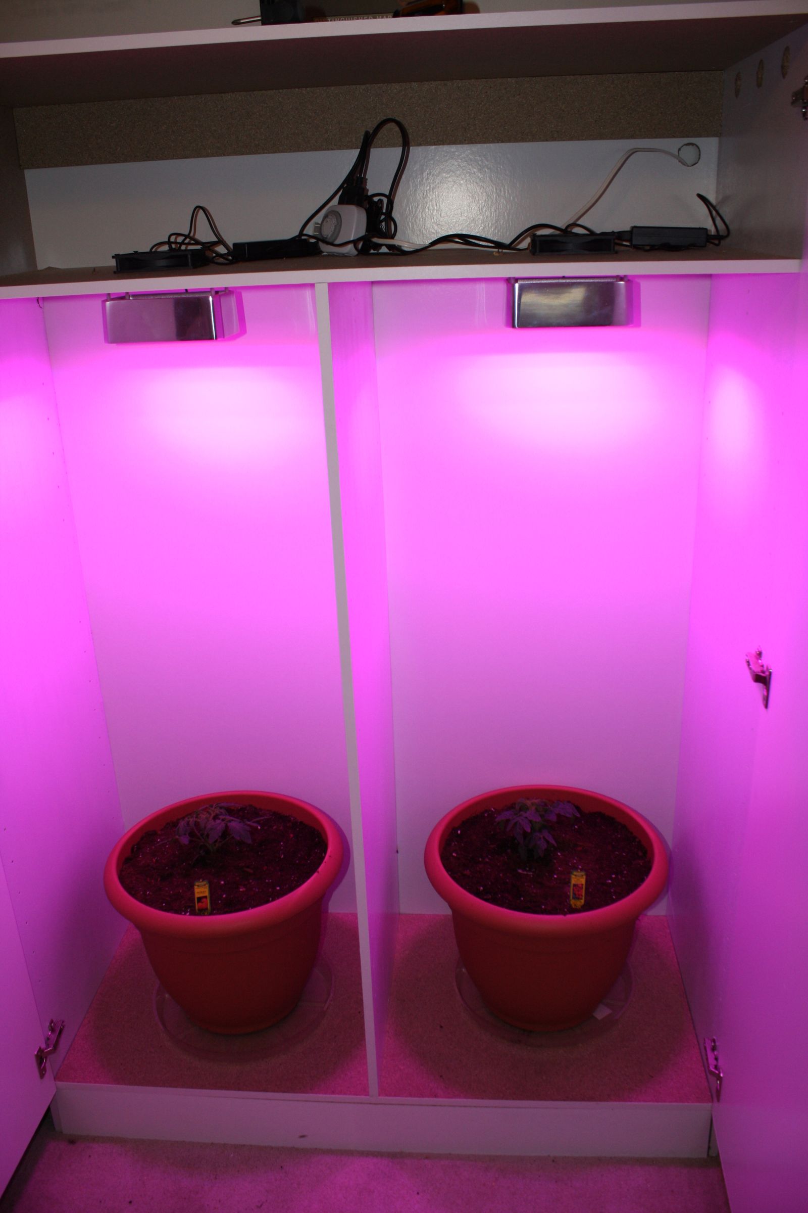 Grow High Light Plants Indoors Without Hydroponics 10 Steps