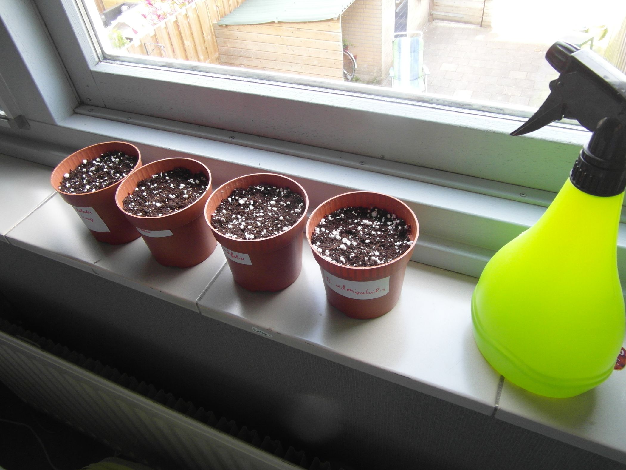 Grow Carnivorous Plants! (with Result) 5 Steps Instructables