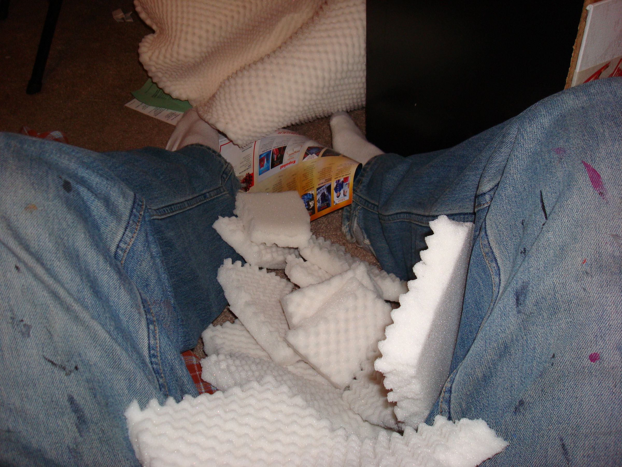 Softer Better (and More Expensive) Bean Bag Chair/sofa/bed! 7 Steps