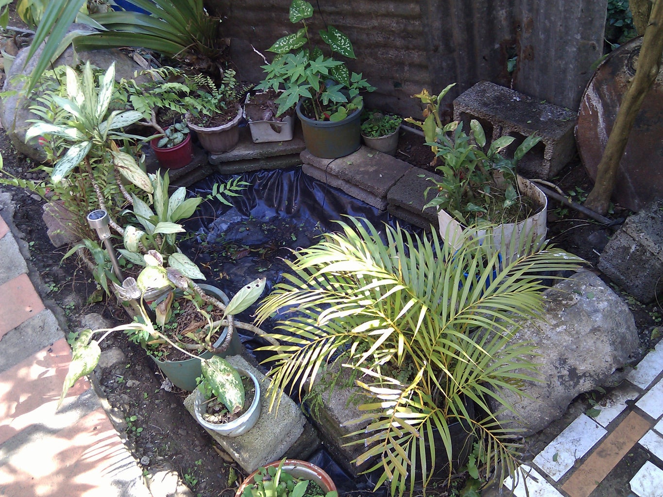 Concrete Pond 9 Steps (with Pictures) Instructables