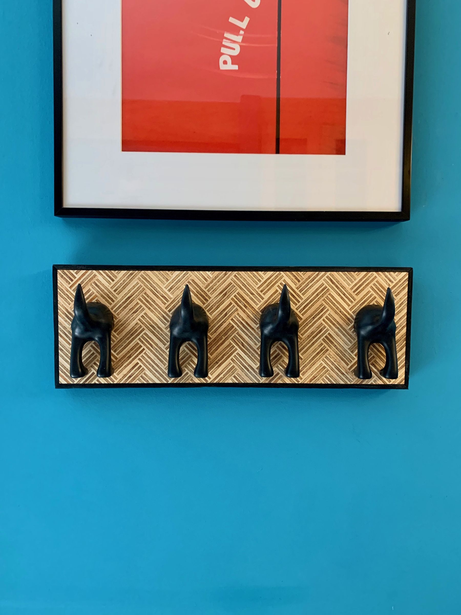 leash hooks