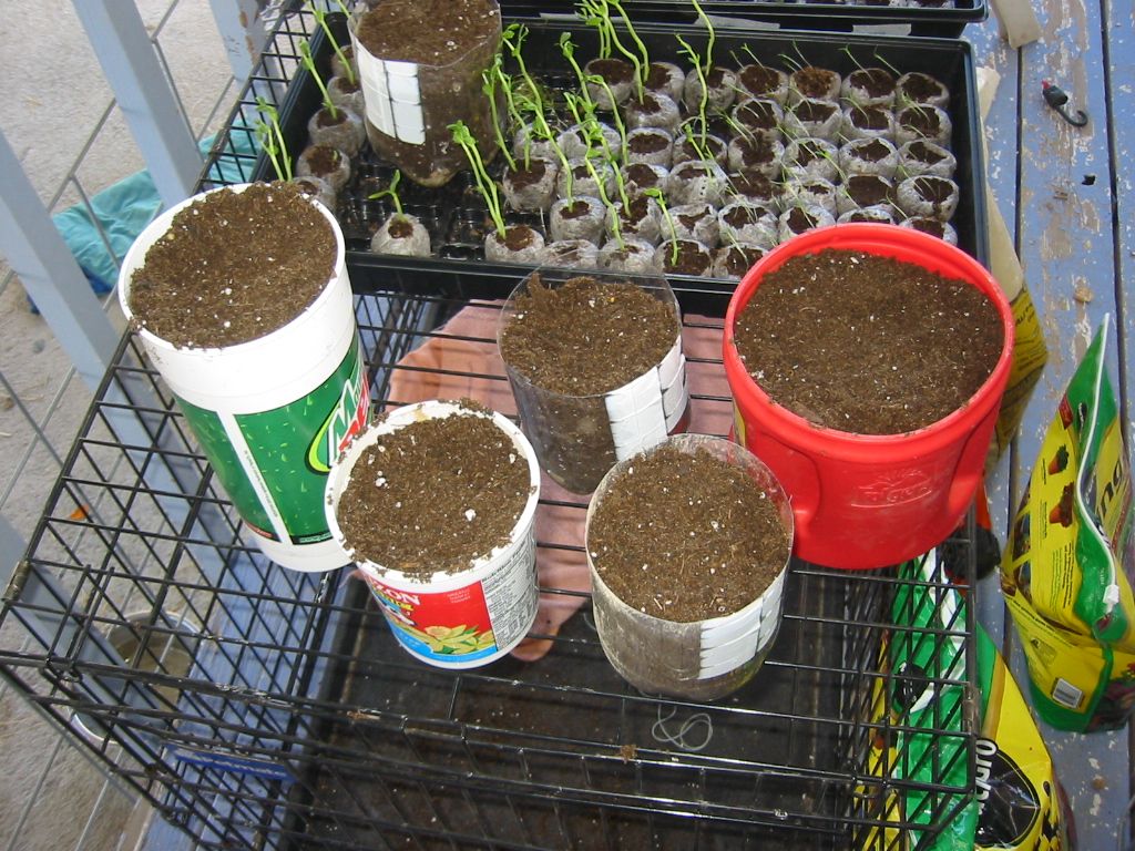 Making Your Own Home Garden Containers From Plastic Bottles 4 Steps Instructables