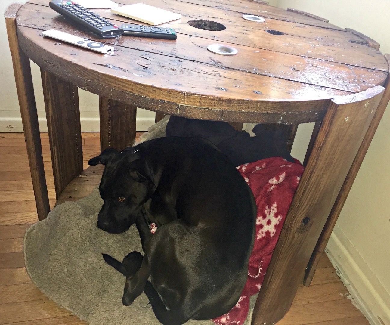 Turn a Cable Spool Into a Side Table / Dog&Cat Bed