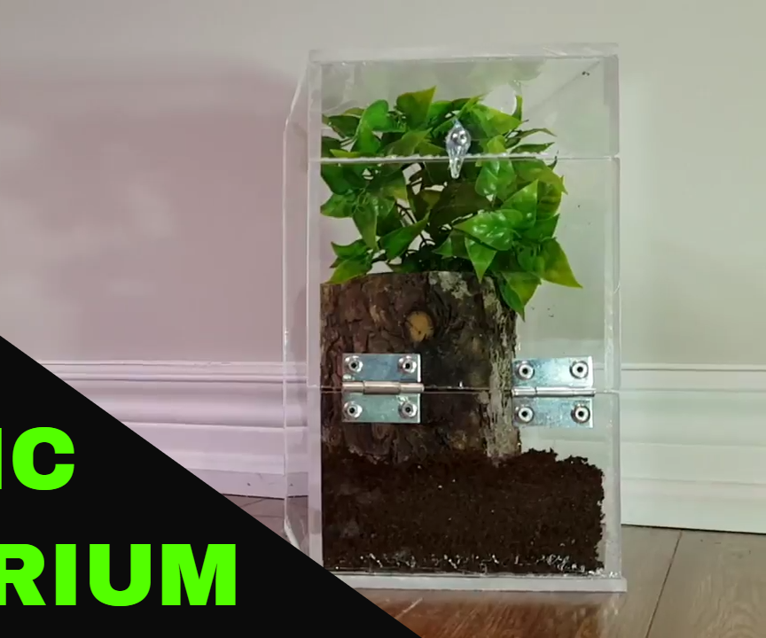 DIY Acrylic Terrarium Instructables