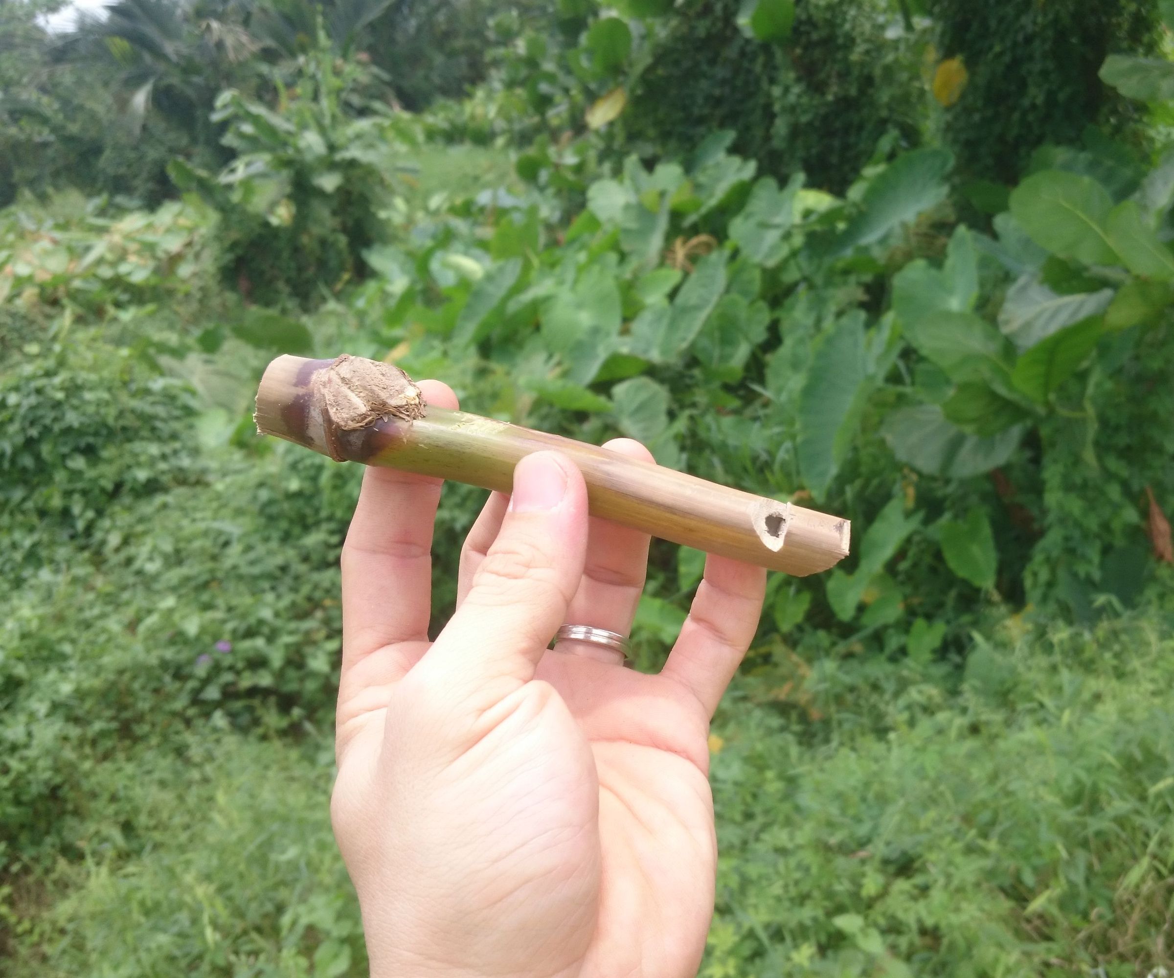 Survival Whistle