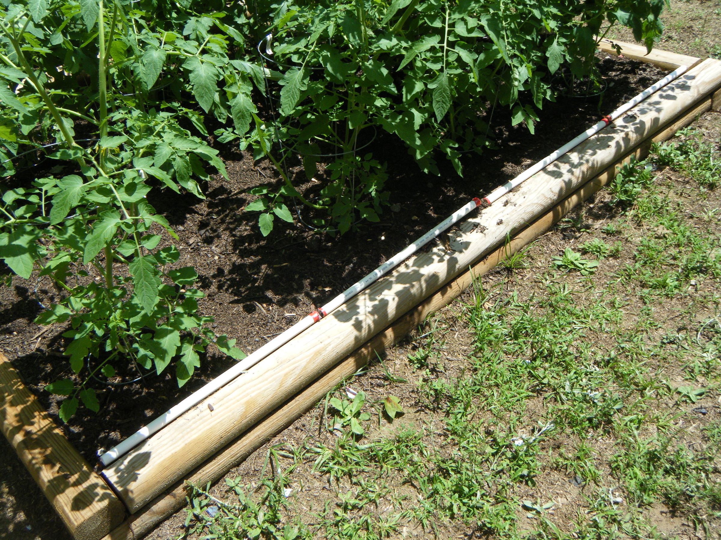 Tomato Cage With PVC 10 Steps Instructables
