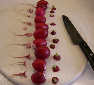 Easy Decorative Rose Radishes : 9 Steps (with Pictures) - Instructables