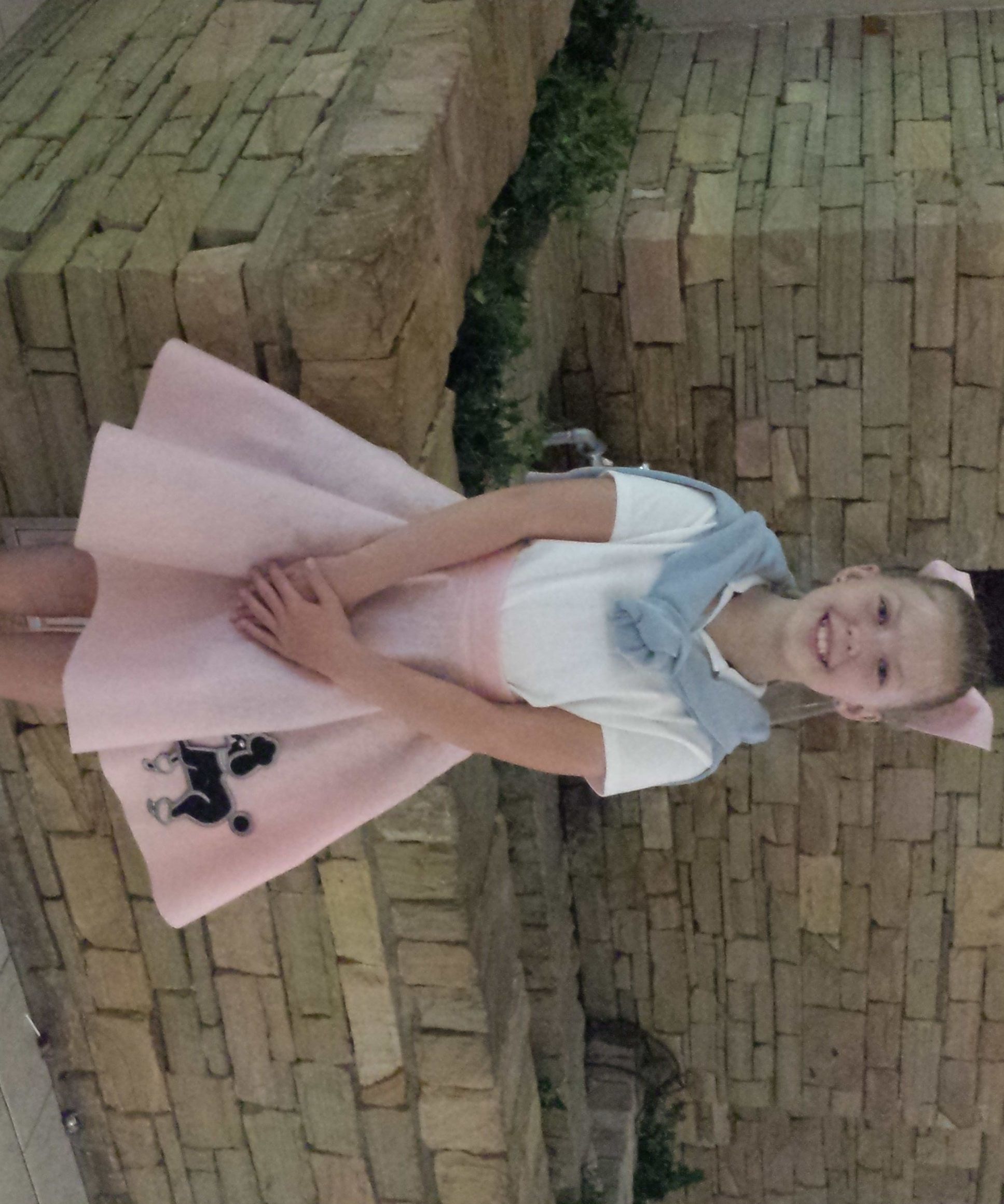 50s poodle skirt DIY Project DIY Project Image