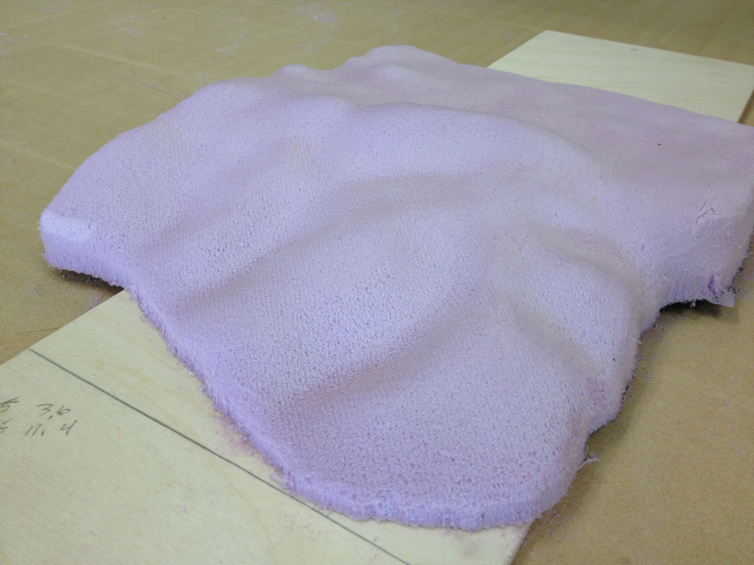 3d terrain model of edgewood park, california DIY Project DIY Project Image