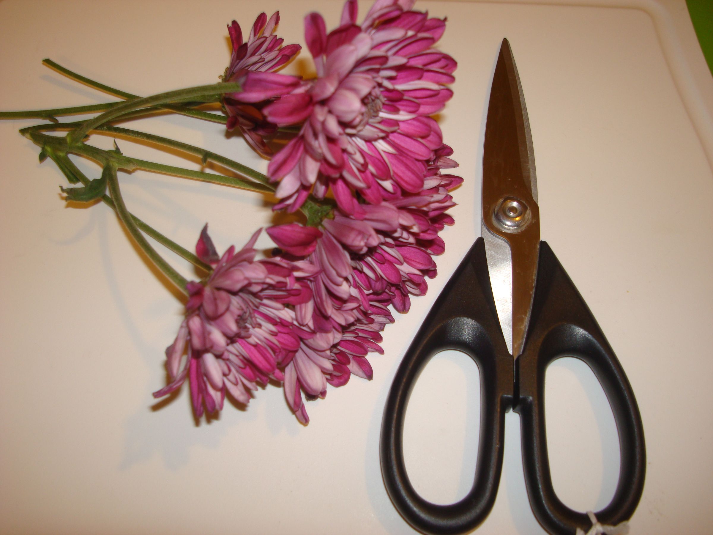 Fresh Cut Flower Preservative 6 Steps Instructables