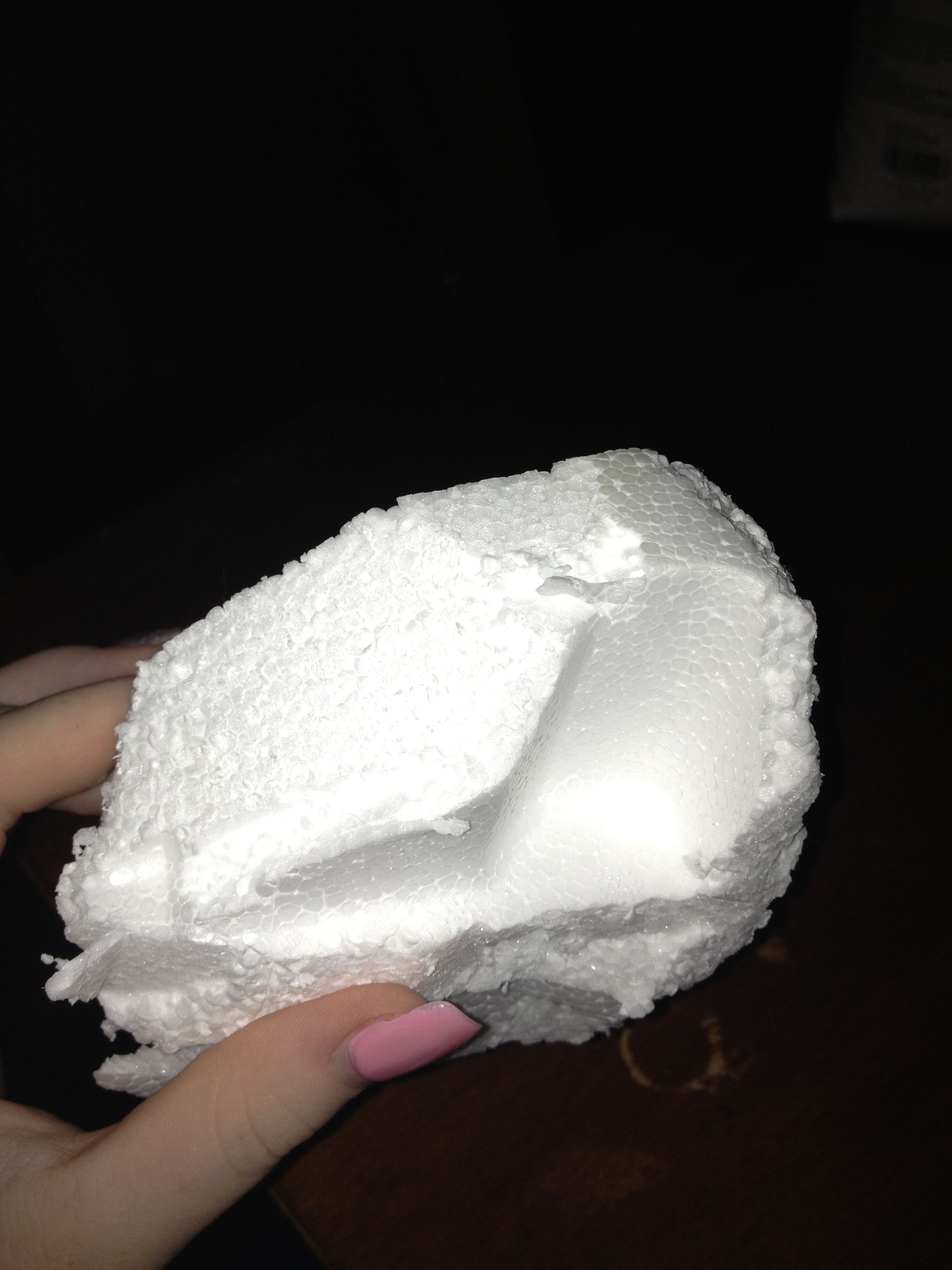 DIY Reptile Hide 8 Steps Instructables