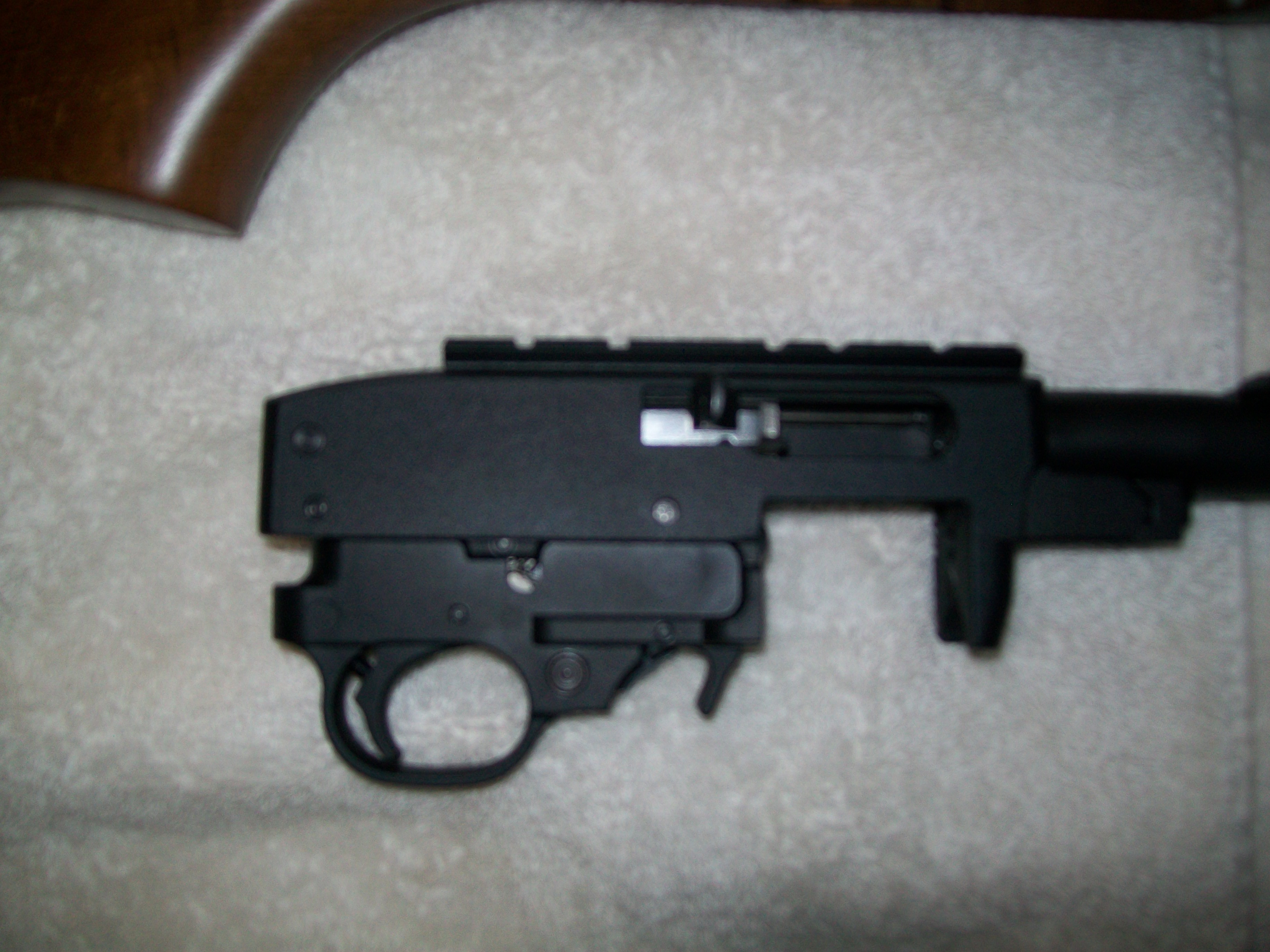 How To Clean Ruger 10 22 Staybite11