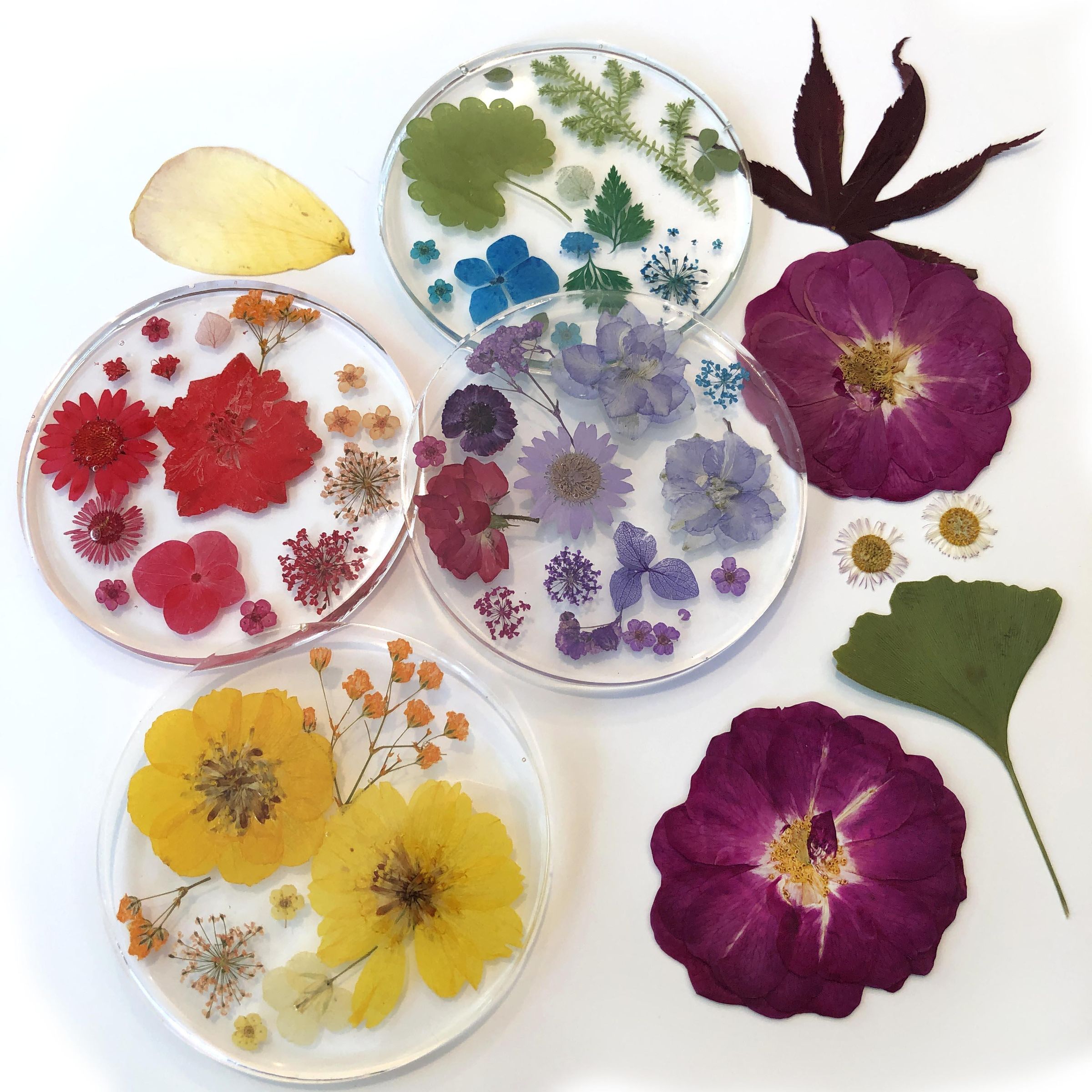 Ultimate Rainbow Dried Flowers & Resin Coaster Set 11 Steps (with