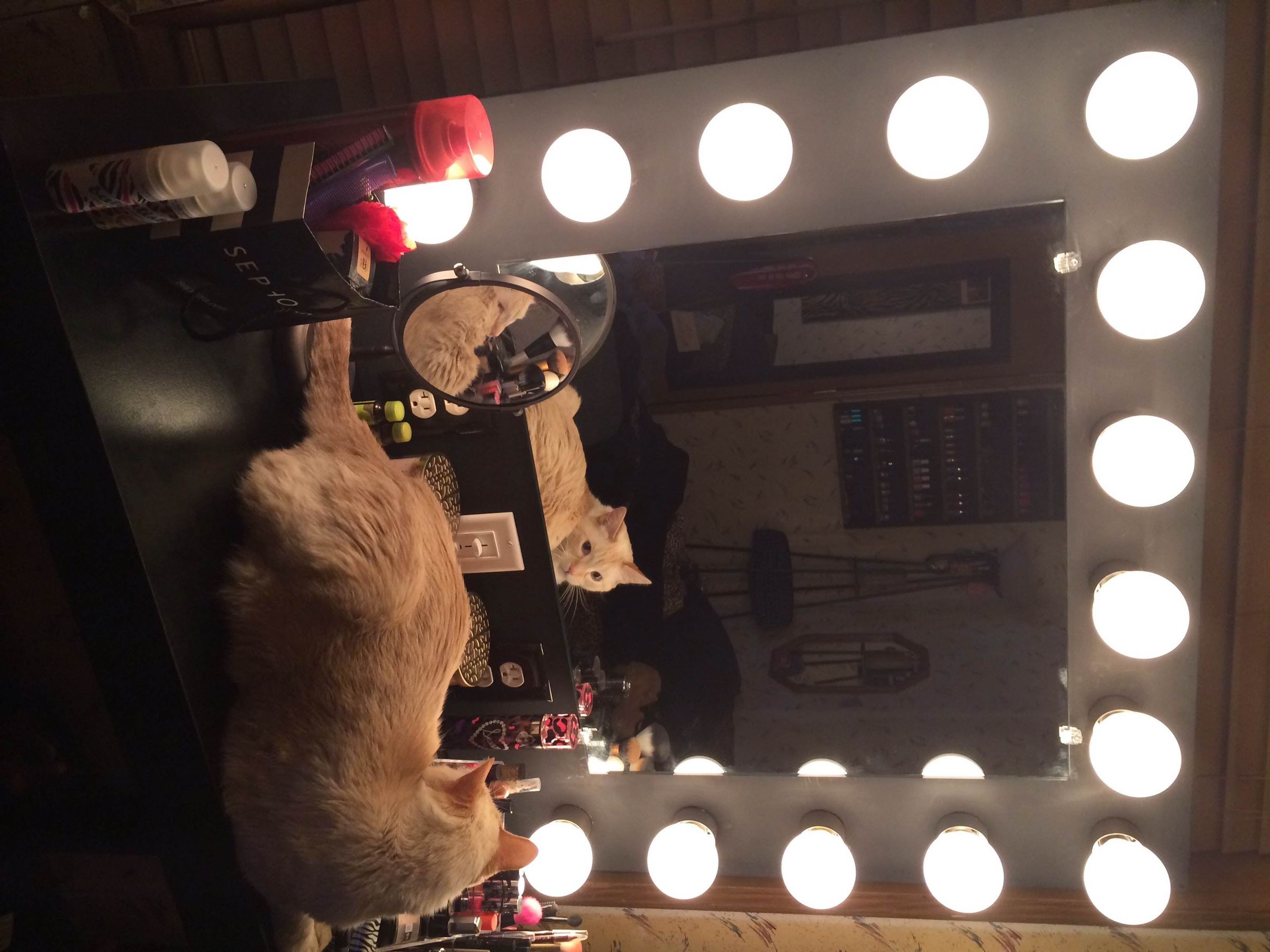 Vanity Mirror With Lights 9 Steps Instructables