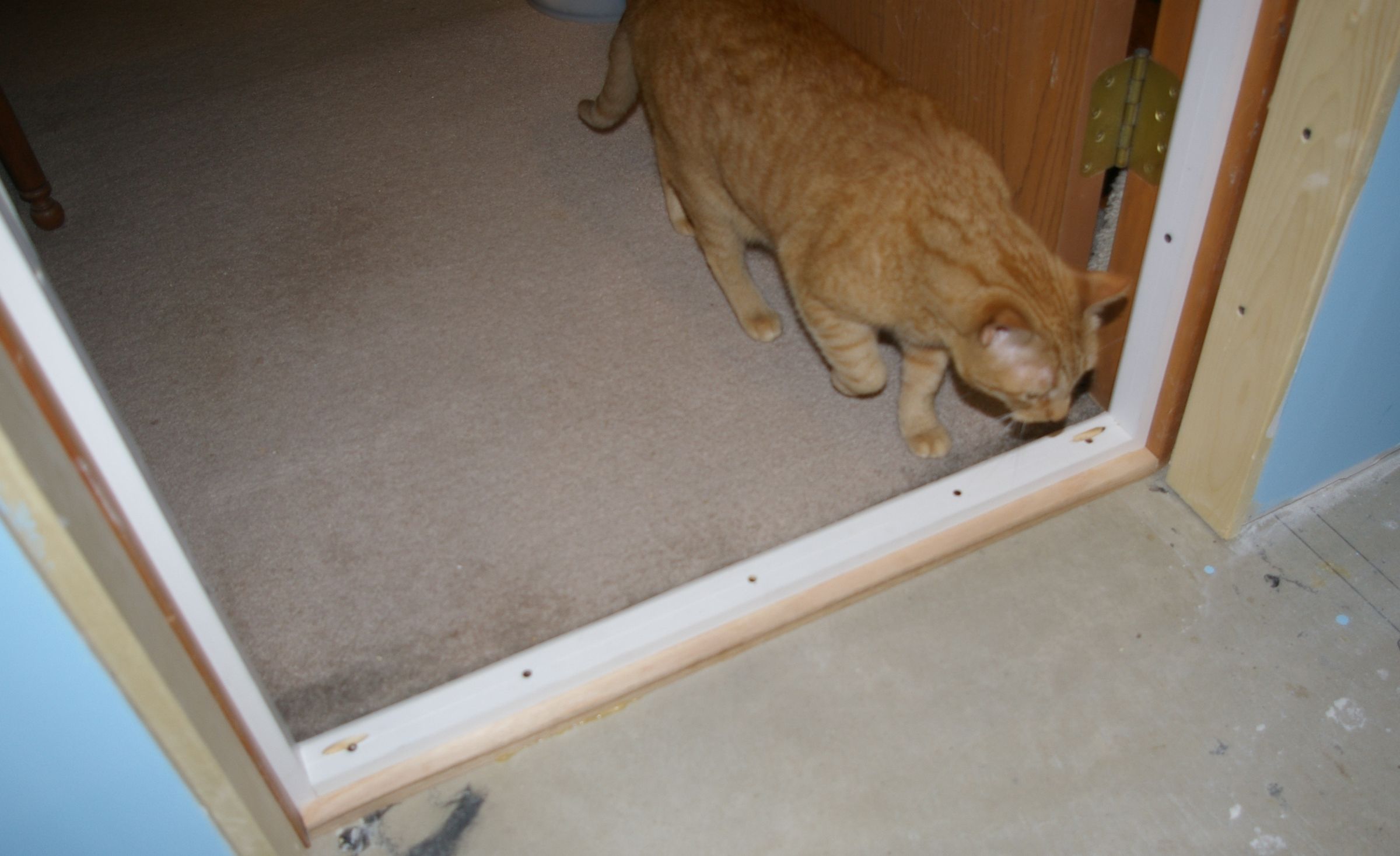 Building a Sound Proof Basement Studio Room : 13 Steps (with Pictures ...