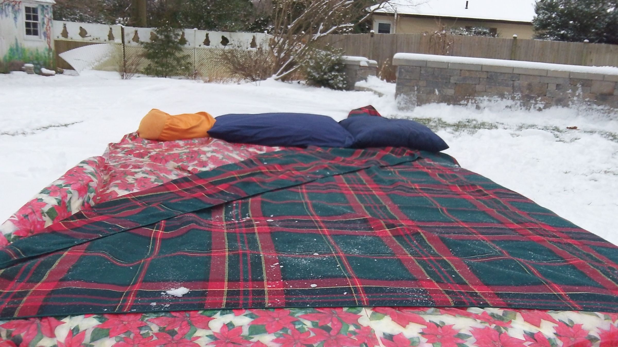 Build a SnowBed