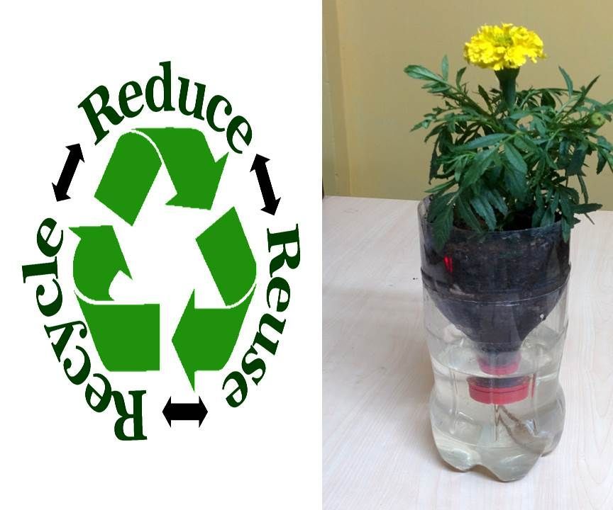 Recycled Bottle Self Watering Hydroponics 7 Steps (with Pictures